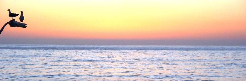 Courtney Bebluk (Courtney Wilkinson) banner