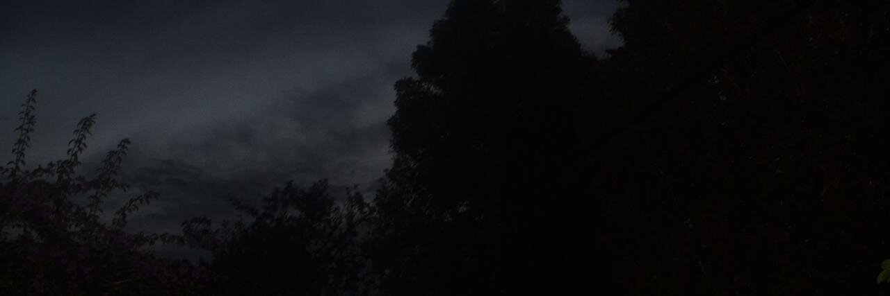 Ophini_'s profile banner image