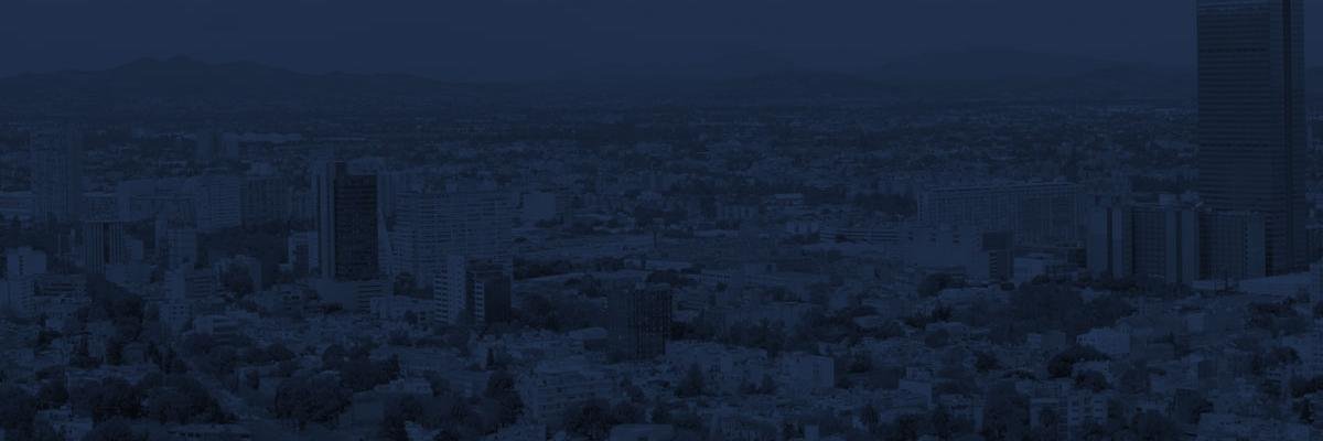 datamx_io's profile banner image