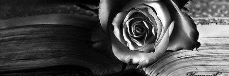 fancy_wiebe's profile banner image