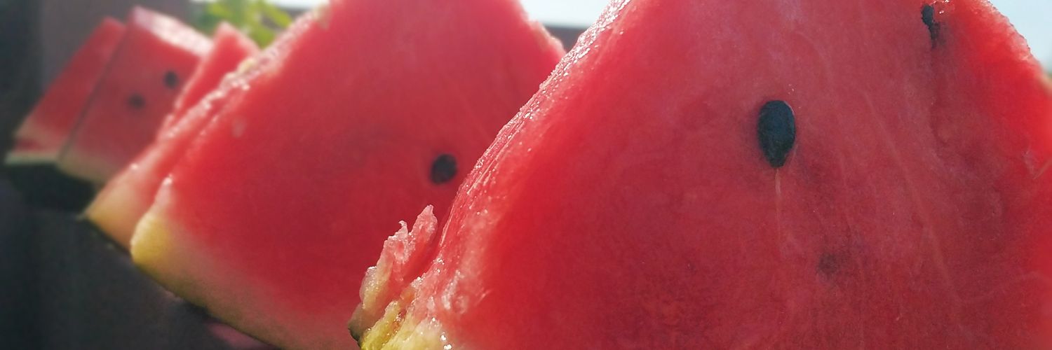 NegraSandia's profile banner image