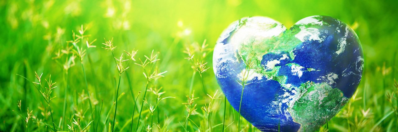 Sezgin Nalsök, M.Ed.🍎 banner