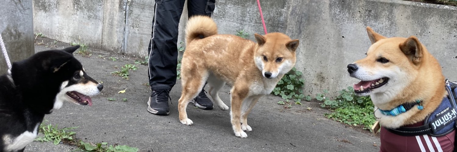 Lucaウマウマ🍪ルーカ banner