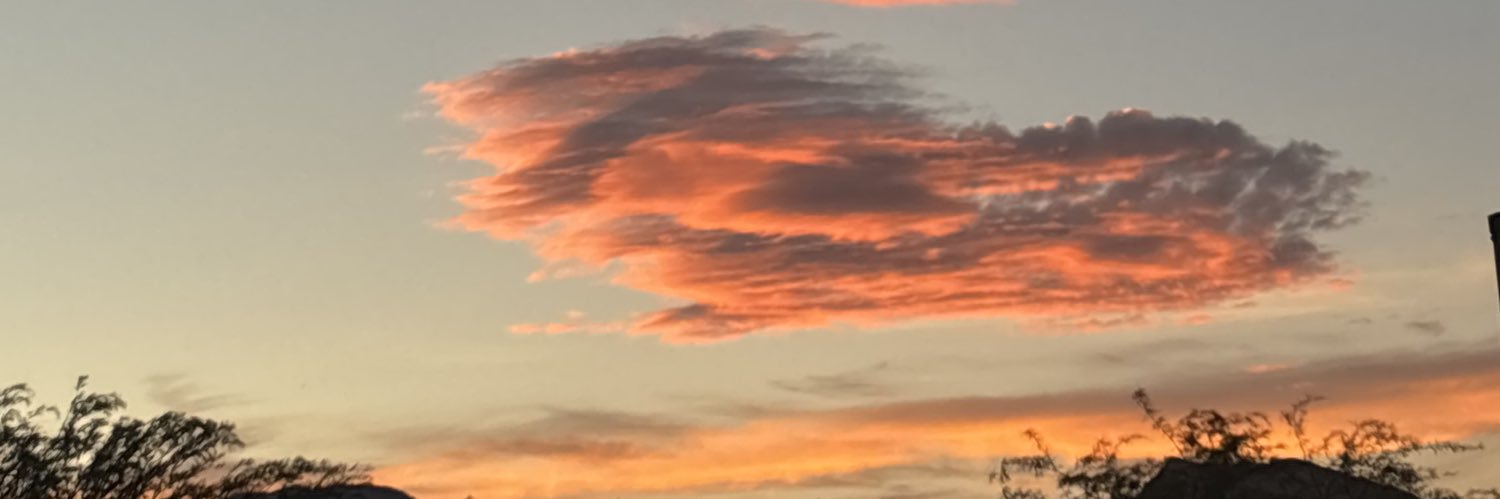 _arigee's profile banner image