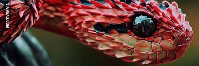 Xavy627's profile banner image