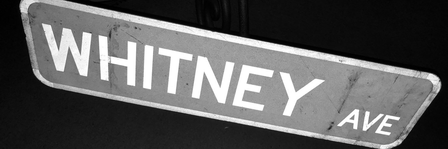 WhitneyLWright's profile banner image