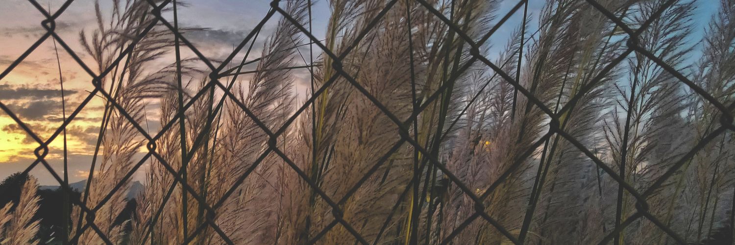 Mahahahak's profile banner image