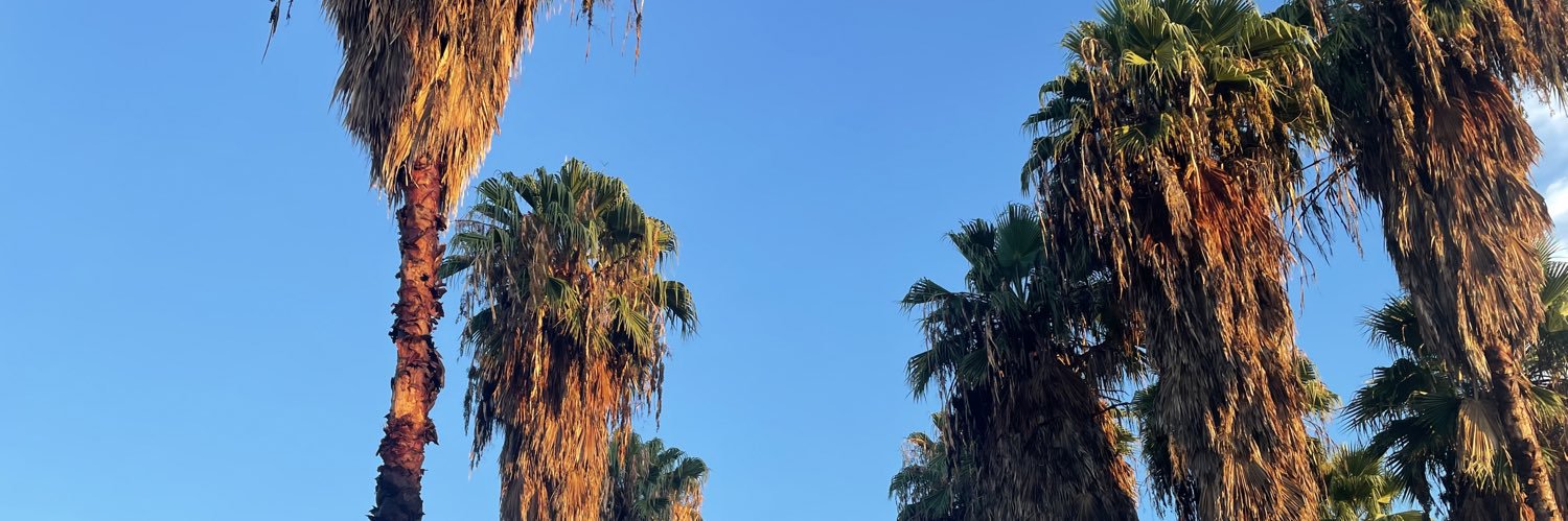 alledhdz's profile banner image