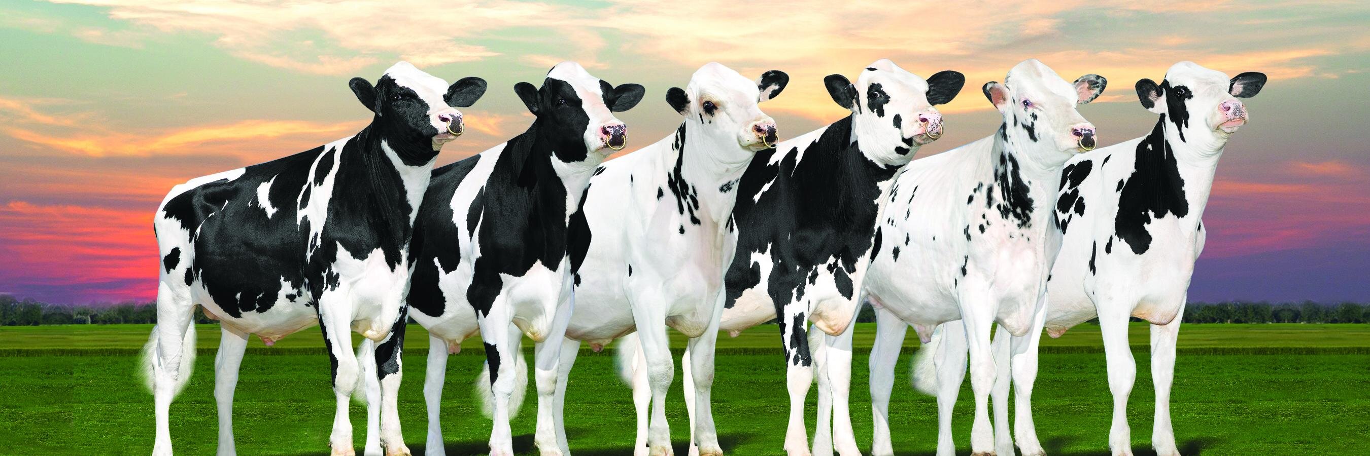 GenervationsInc's profile banner image