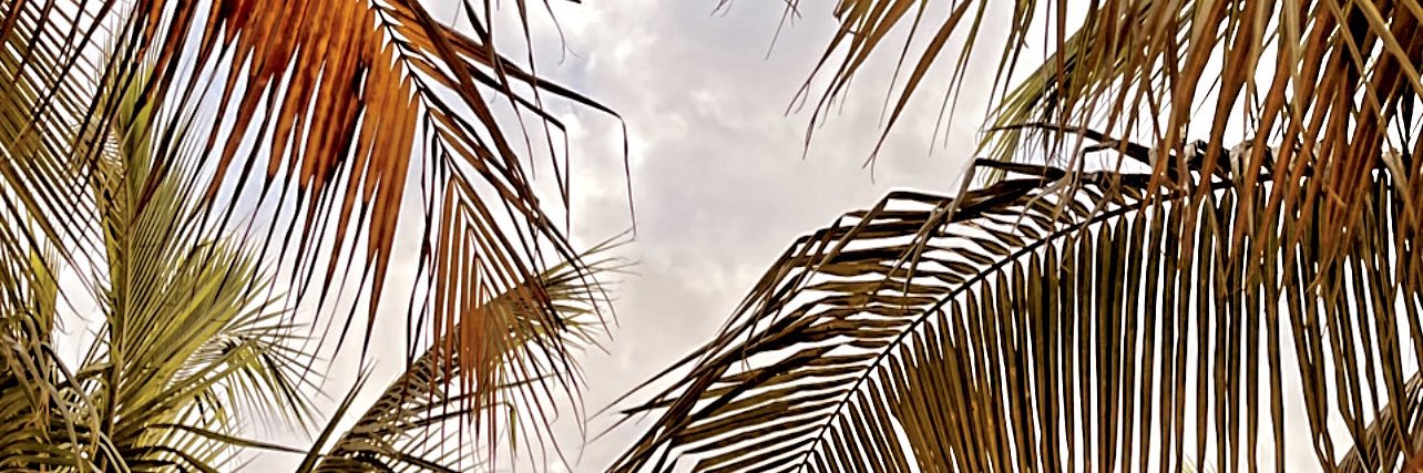 danicanestrari's profile banner image