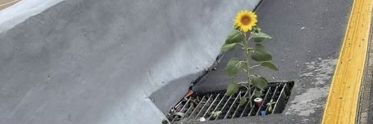 vdmrhn's profile banner image