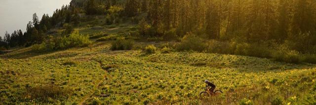 NOAH BROUSSEAU banner