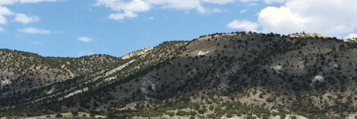 Wayne High School banner