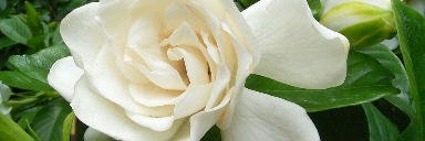 daikoku123's profile banner image