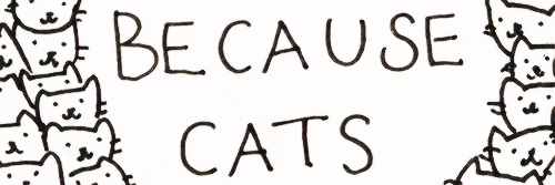 _KatyDicas's profile banner image