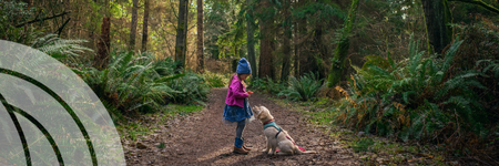 Community Foundation banner