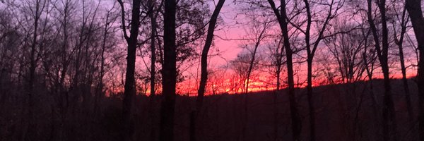 bigbluegoose Profile Banner