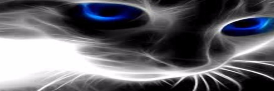 EGP73897132's profile banner image