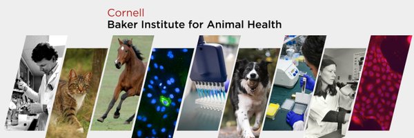 bakercornell Profile Banner