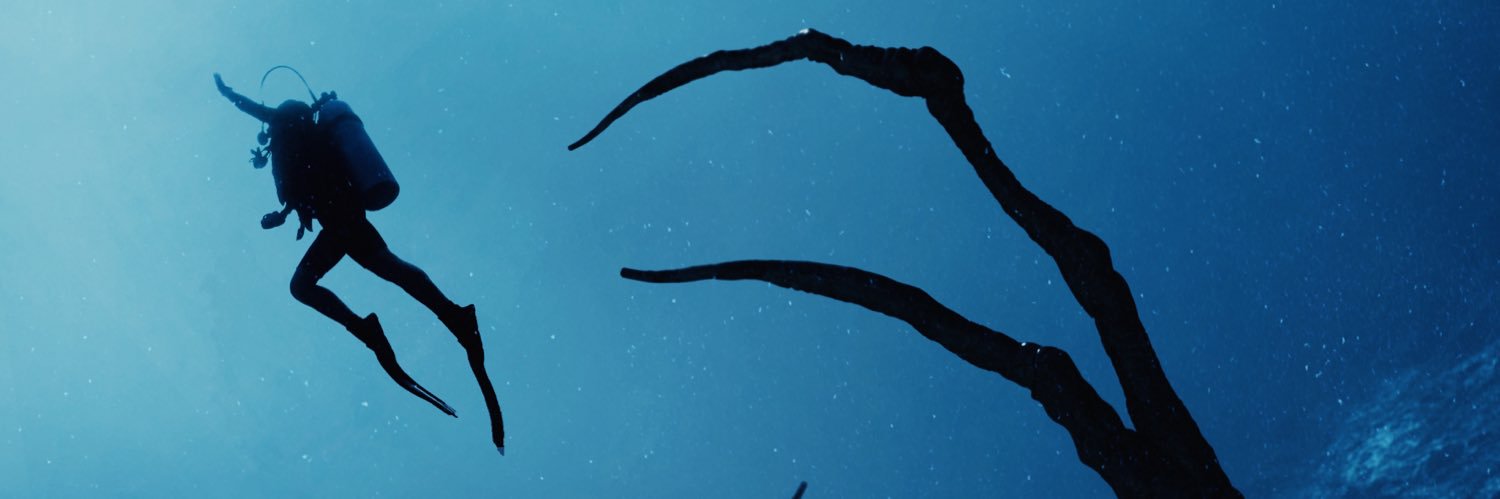 AlHodge79's profile banner image