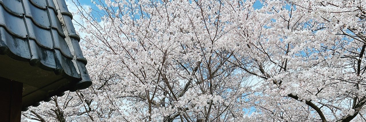 ちゃんまま😷 banner