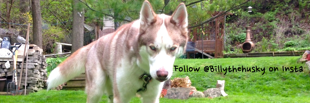 WolffChild_'s profile banner image