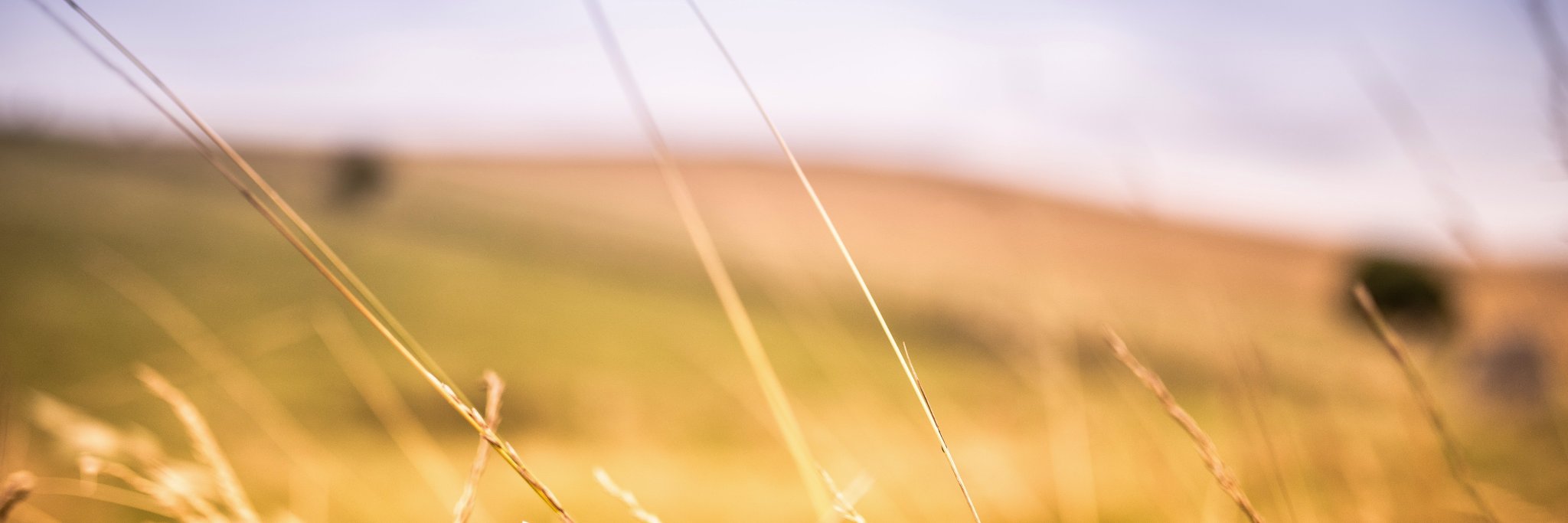 baheeej's profile banner image