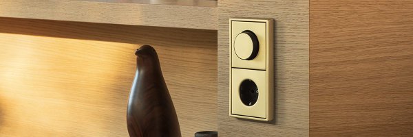 JUNGLONDON Profile Banner