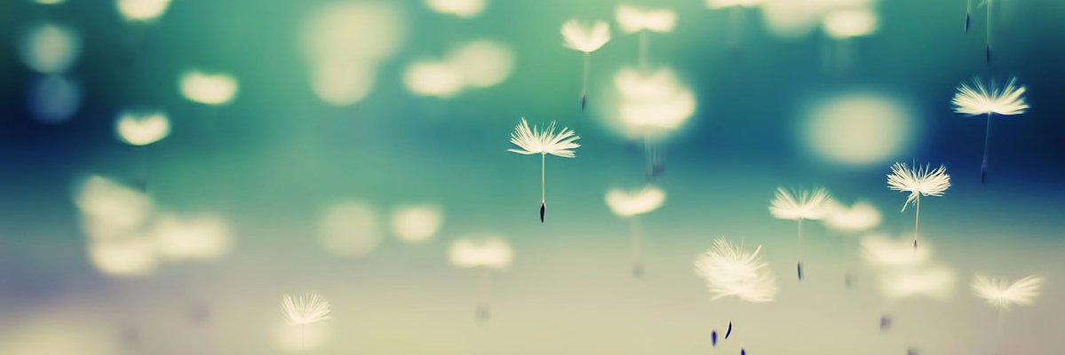evey_carter's profile banner image