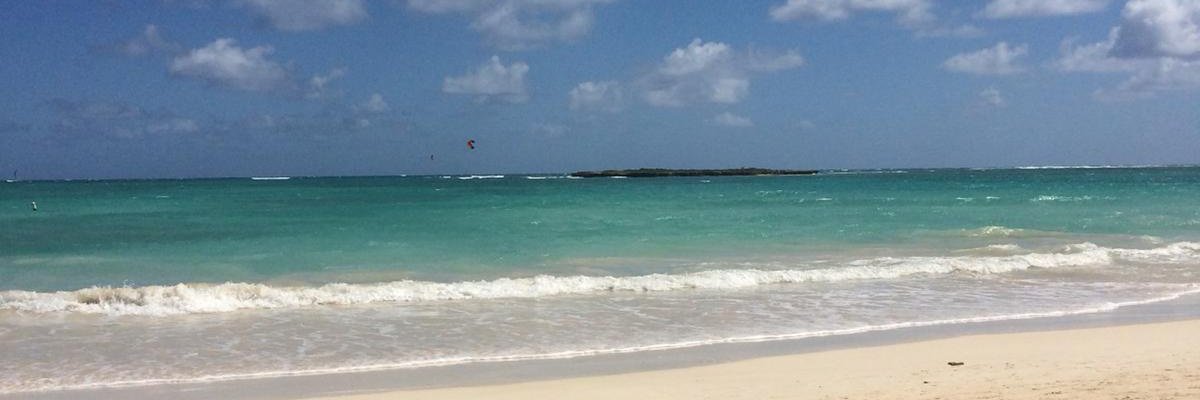 sandraandrea banner