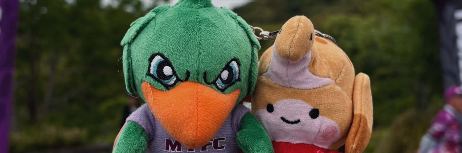 mtmton's profile banner image