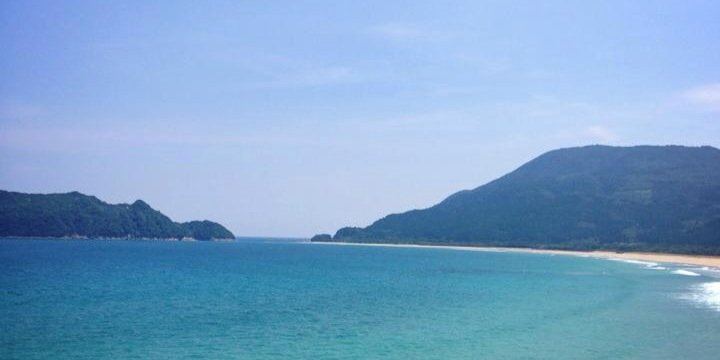 jtamaoki011's profile banner image