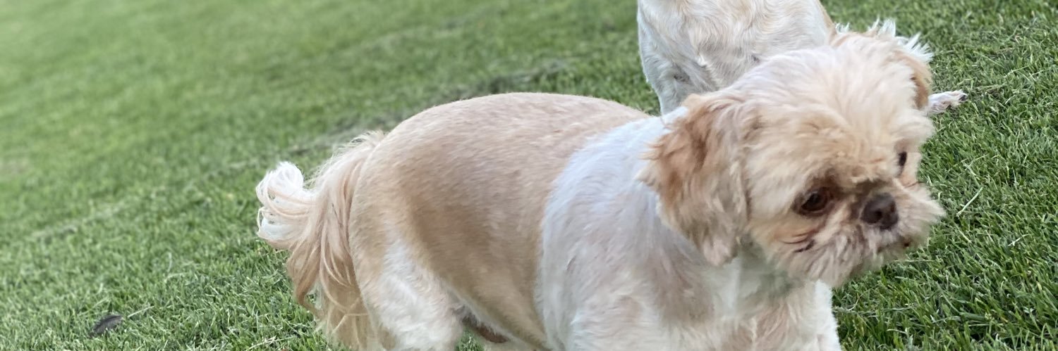 biskx's profile banner image