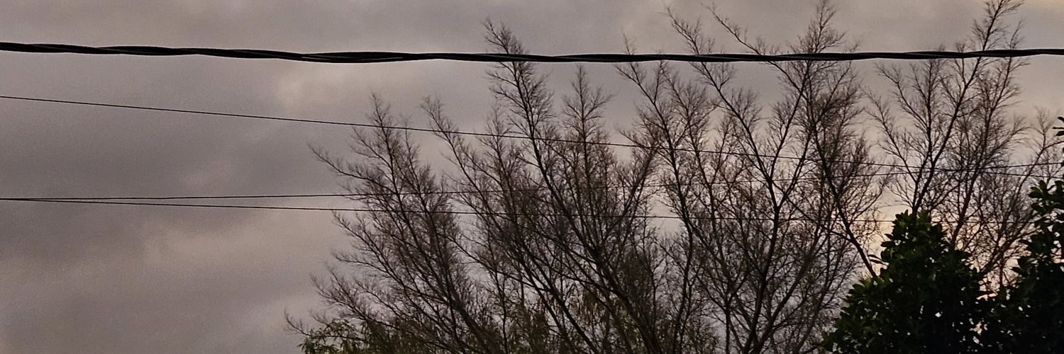 mankipone's profile banner image