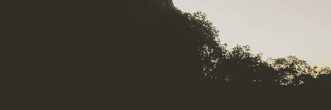 spacegremlin__'s profile banner image