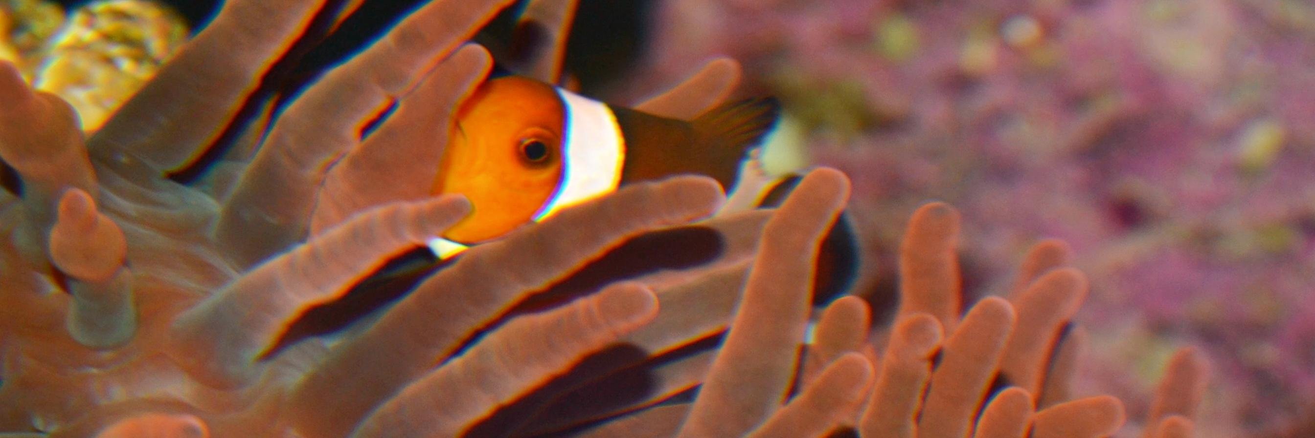 DRMScience's profile banner image