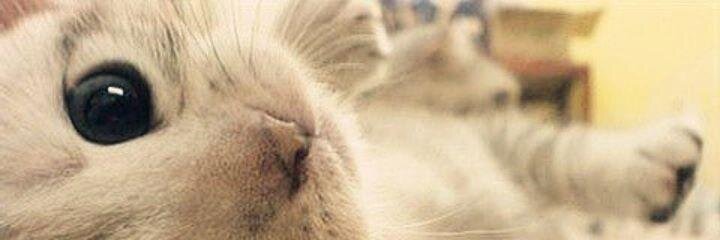 yu_na___4441's profile banner image