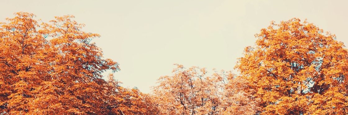 OhThatMelanie's profile banner image