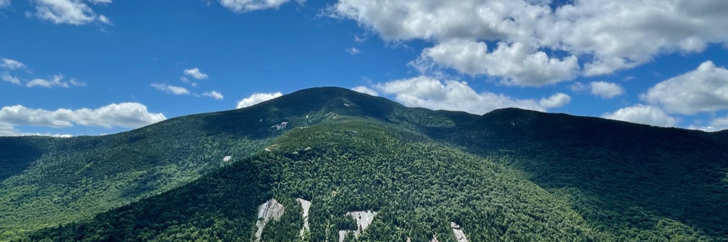 Rachel Hermann banner