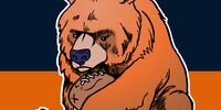 Nikko Venturini banner