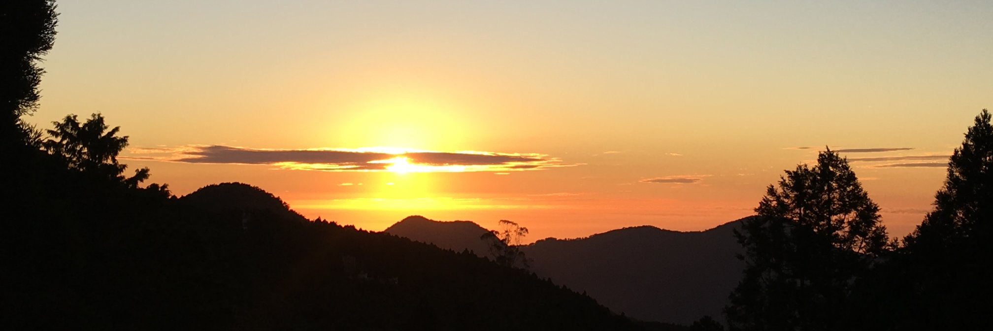 小王 RL 💫✨ banner