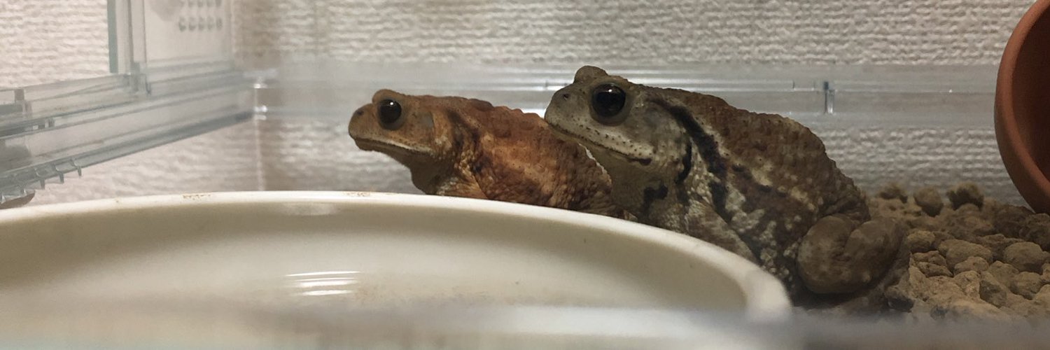 DoroRitch's profile banner image