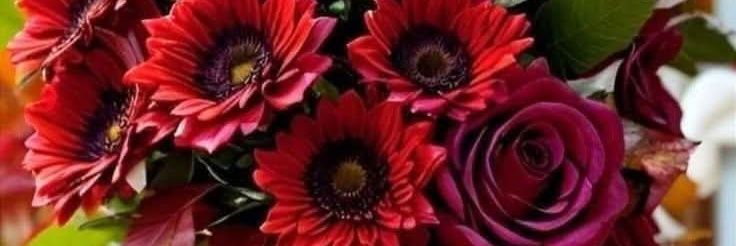 GULKOLARA's profile banner image