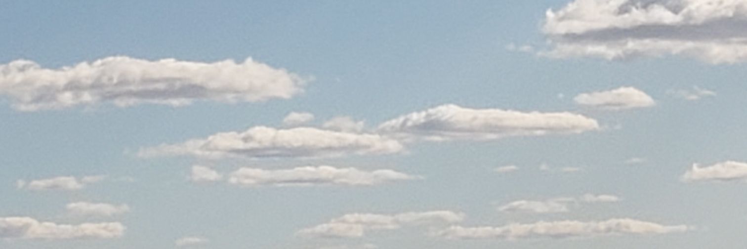 falsocarre's profile banner image