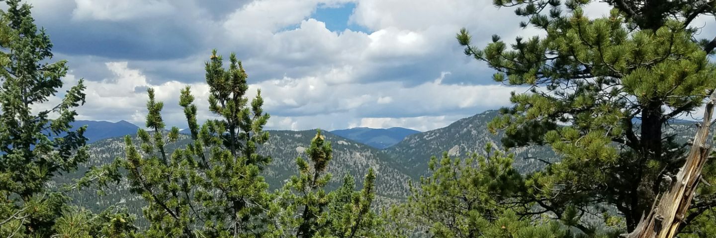 nhidalgo823's profile banner image