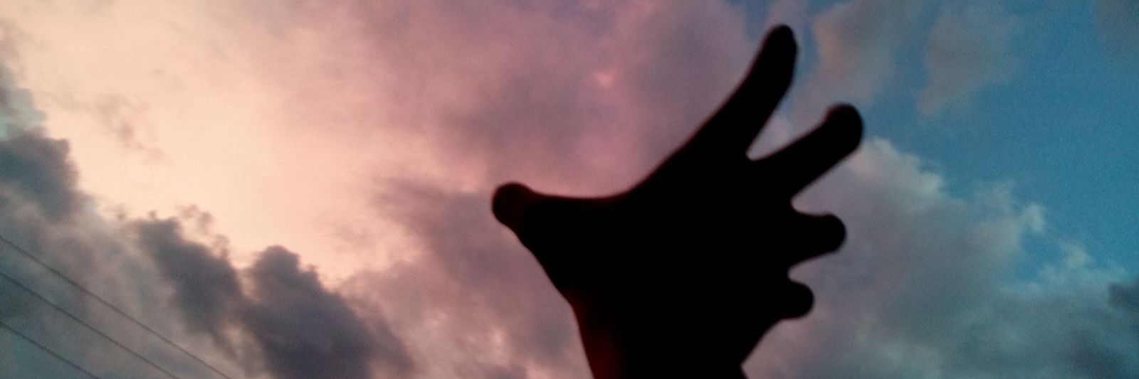 Freelips's profile banner image