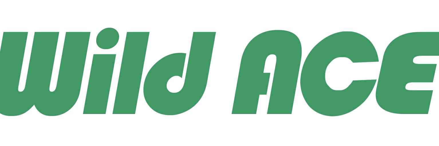 Wild Ace banner