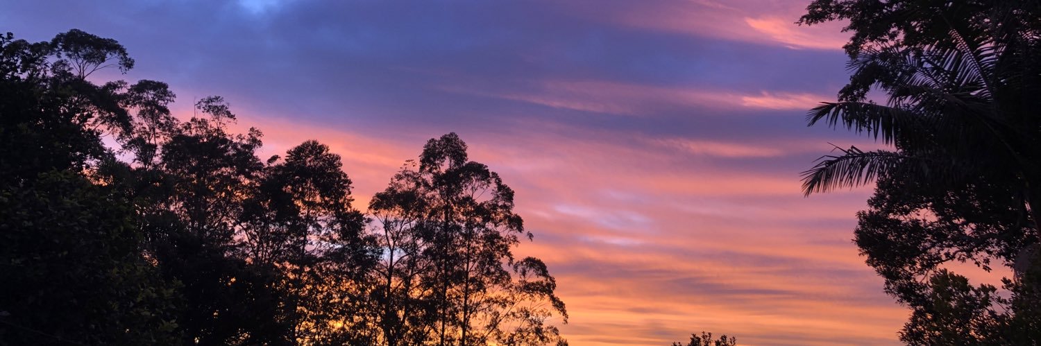moraes_linee's profile banner image