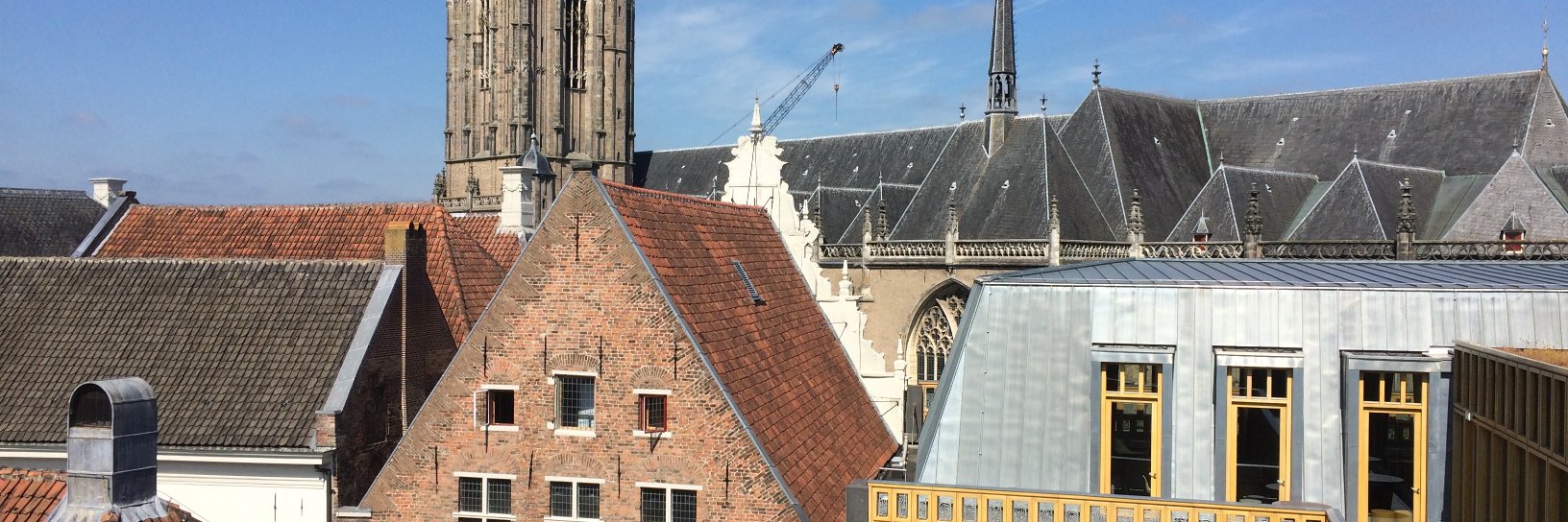 Thomas Walder banner