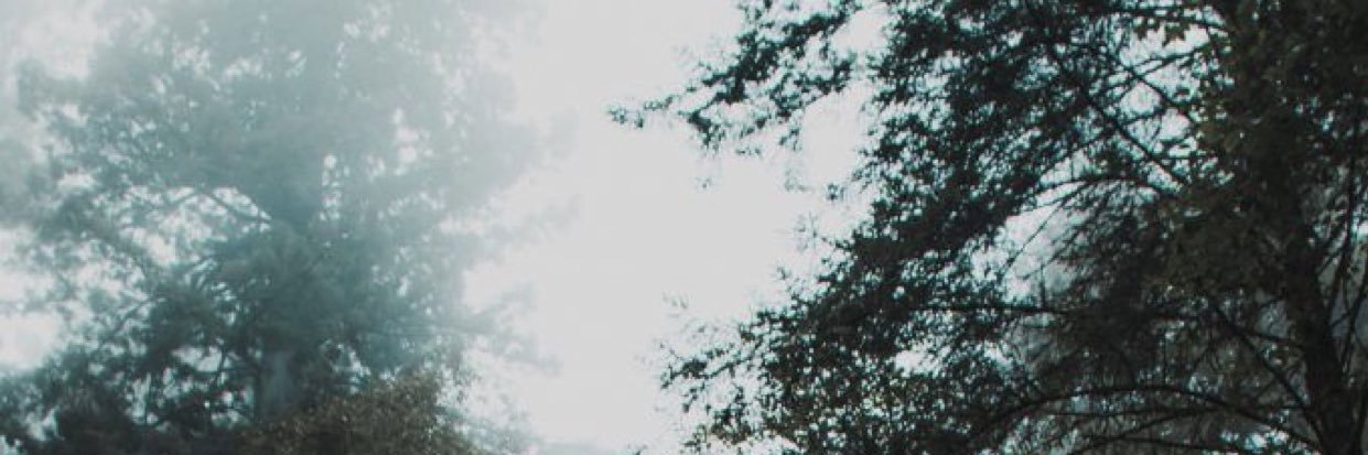 shellsea18's profile banner image